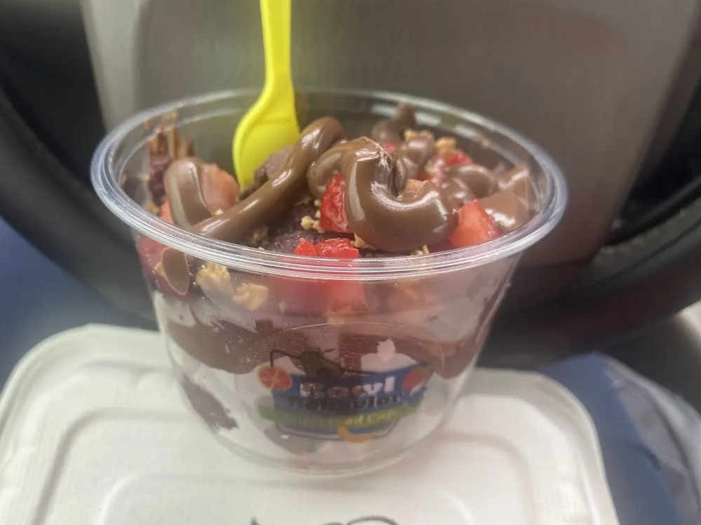 Frozen Yogurt